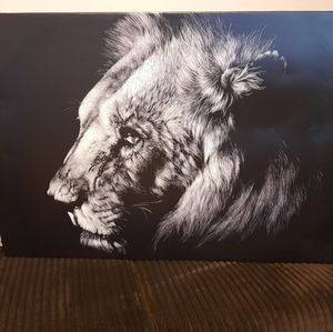 Lion Picture